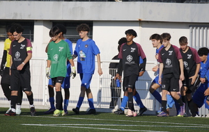 68ed217528489_MG9248.JPG