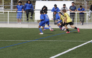 68f64558e24ec_MG9566.JPG
