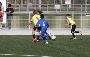 68f645612c365_MG9568.JPG