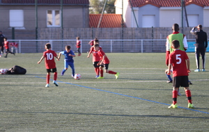 6aa802588540b_IMG1096.JPG