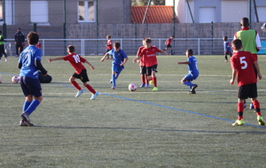 6aa8026570874_IMG1097.JPG