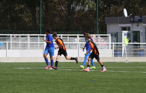 6aa8186d683f7_IMG1366.JPG