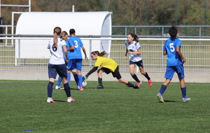 6ab14099c2f94_IMG1637.JPG