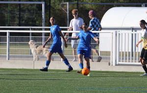 6ab15a4c8478d_IMG1942.JPG